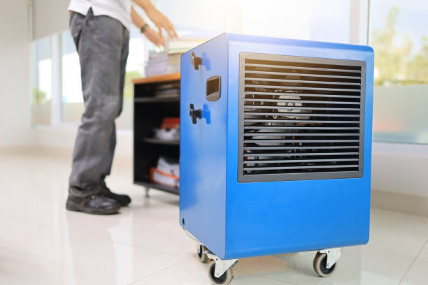 Dehumidification Services in Poteet, TX